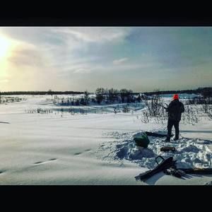 Meet your Posher, Brodie